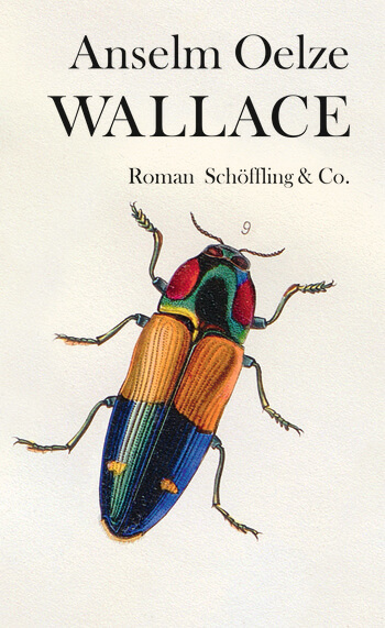 Wallace von Anselm Oelze.