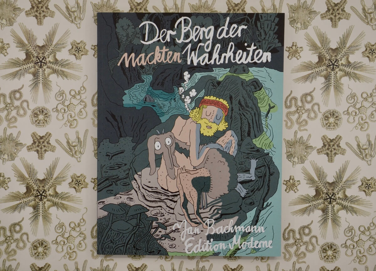 Der Berg der nackten Wahrheiten von Jan Bachmann
