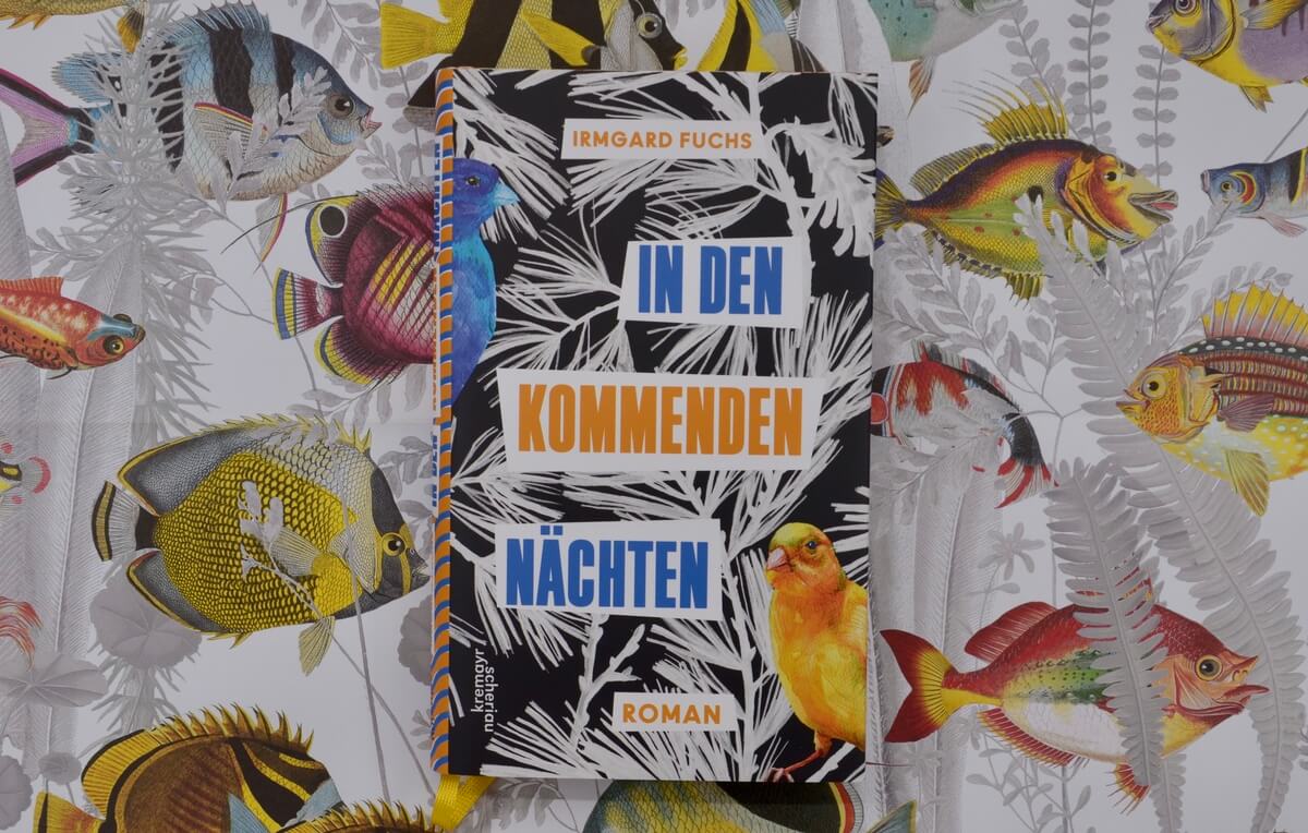 In den kommenden Nächten von Irmgard Fuchs