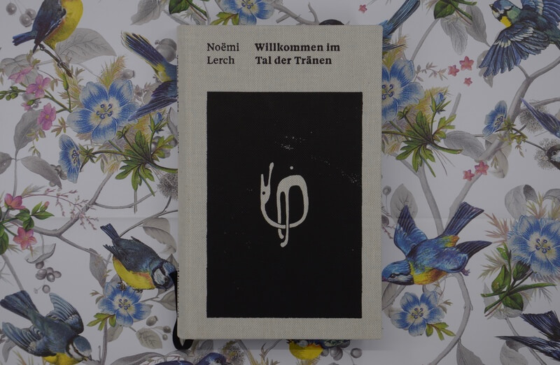 Willkommen im Tal der Tränen von Noëmi Lerch.