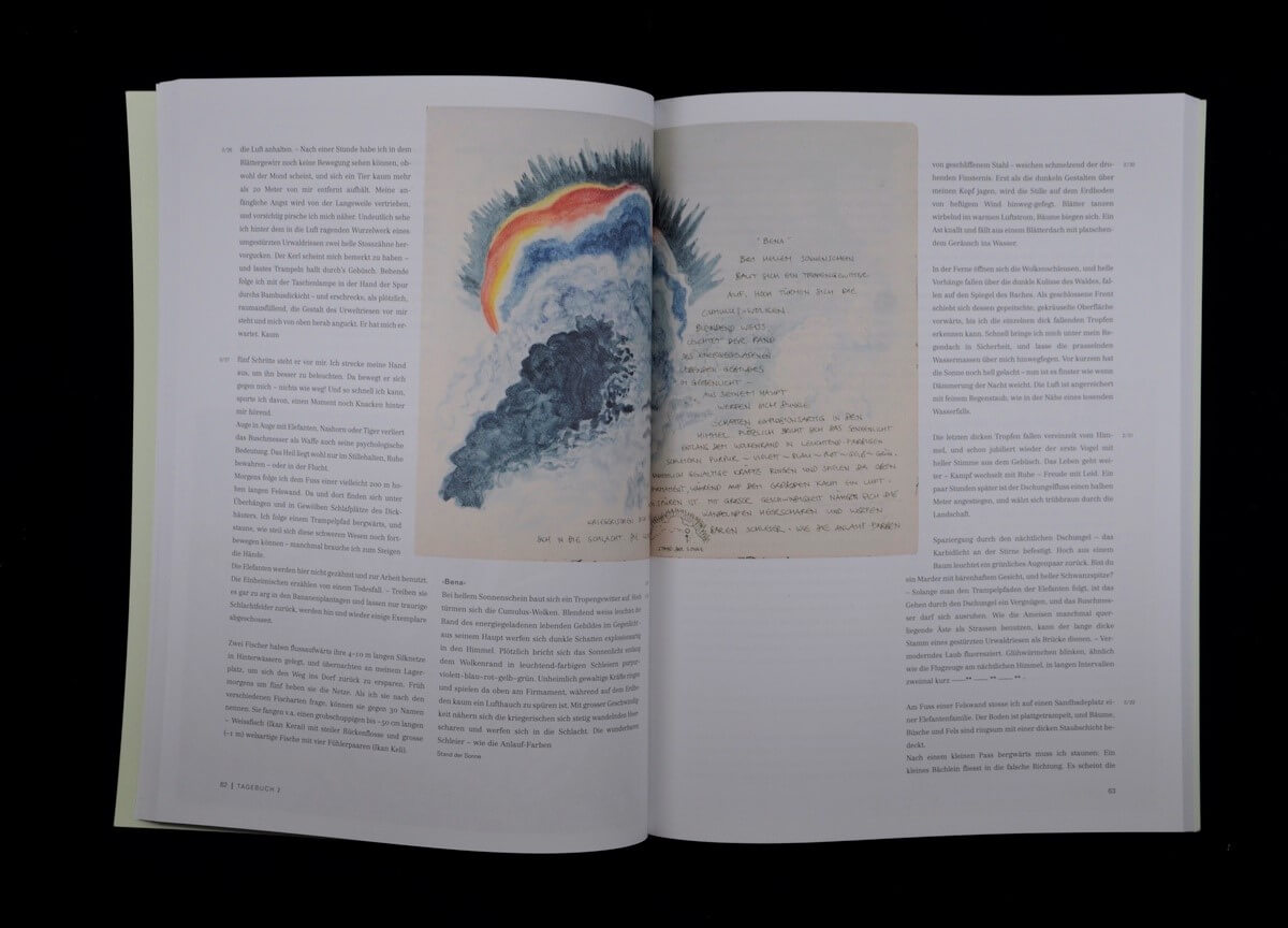 Tagebücher aus dem Regenwald von Bruno Manser.