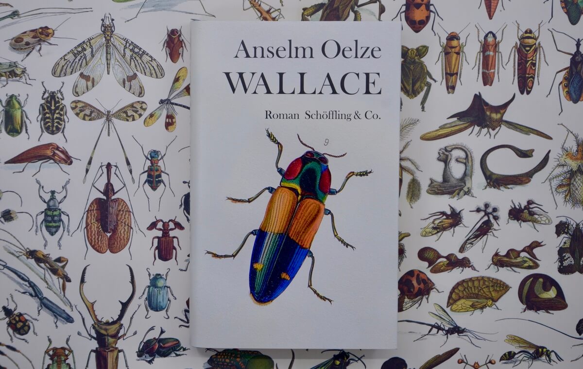 Wallace von Anselm Oelze.