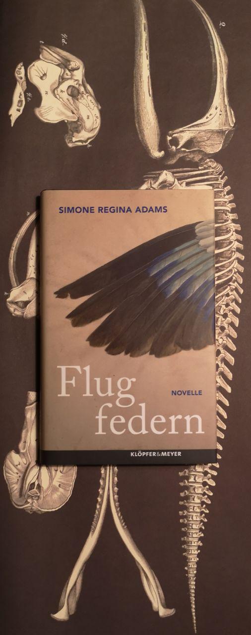 Flugfedern von Simone Regina Adams