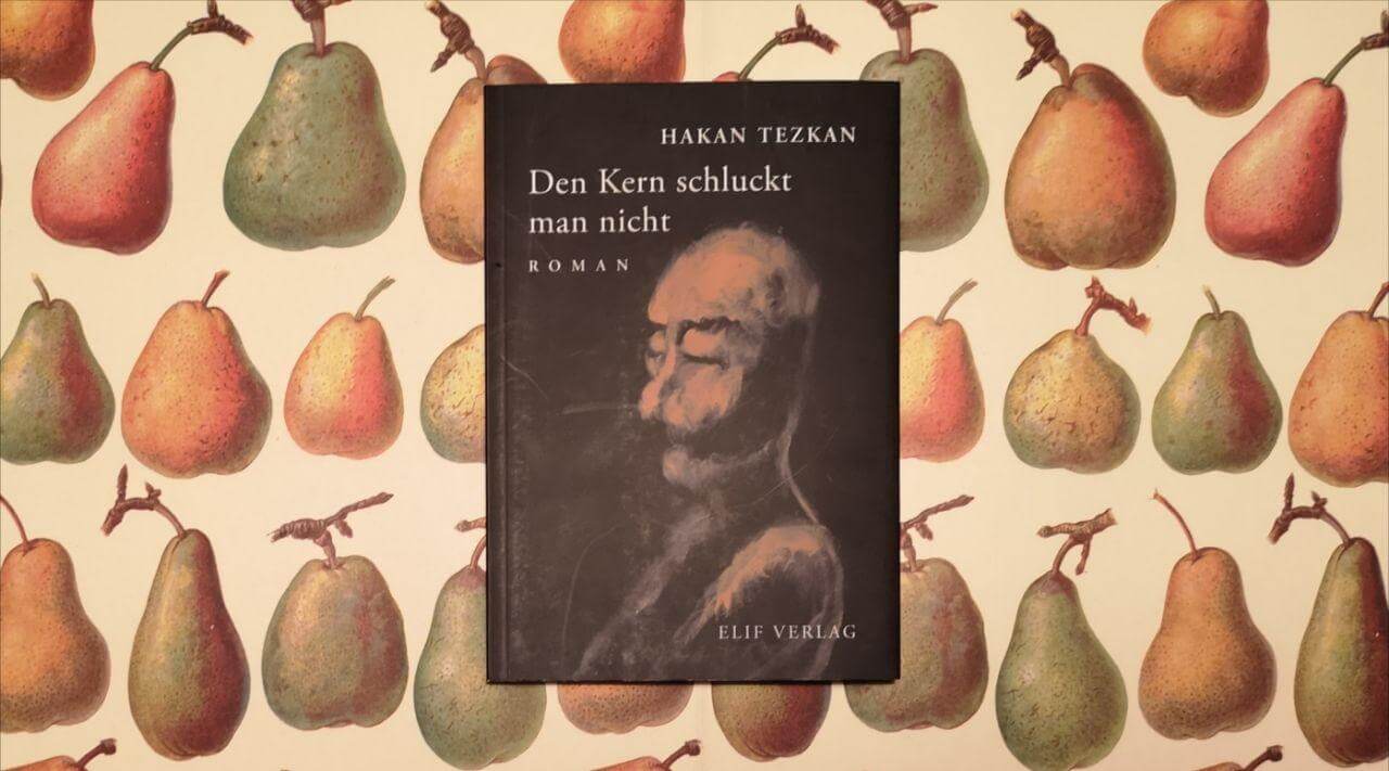 Den Kern schluckt man nicht von Hakan Tezkan
